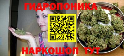 дживик Северобайкальск