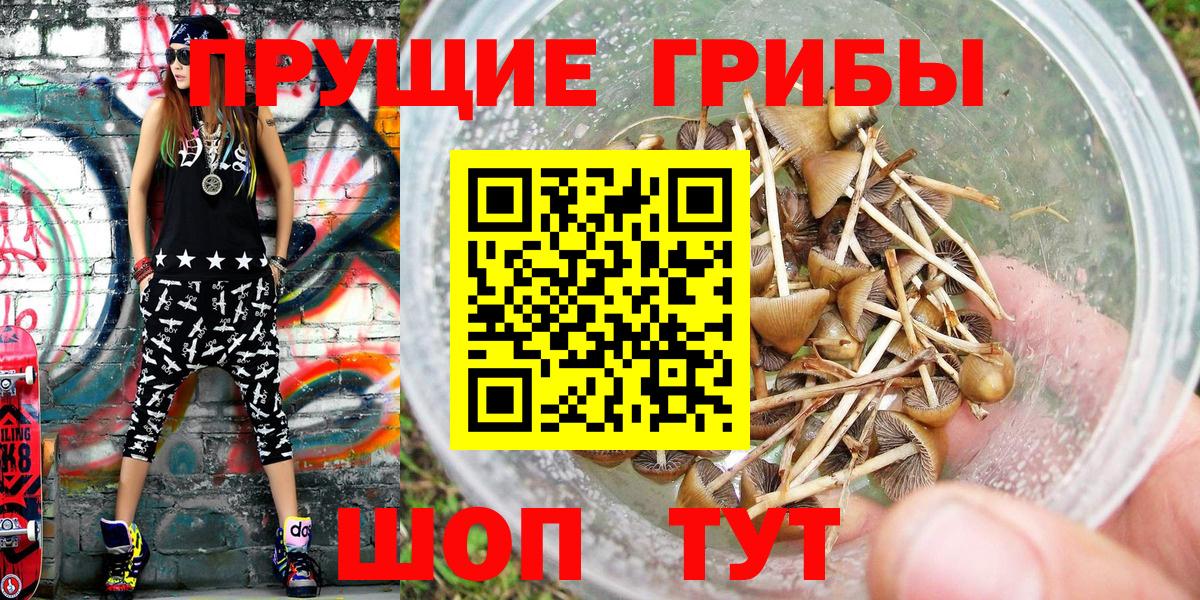 Псилоцибиновые грибы Magic Shrooms Протвино