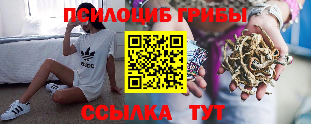 Псилоцибиновые грибы мицелий  Вход с VPN  Галлюциногенные грибы прущие грибы  наркошоп  Протвино 